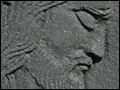 The Faces of Jesus